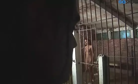 Erotic Blowjob with Mature Man